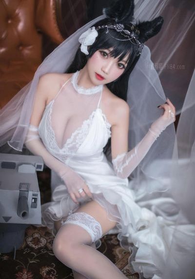 莲花电视剧