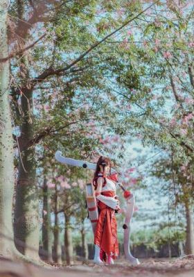 风吹半夏电视剧免费观看完整版