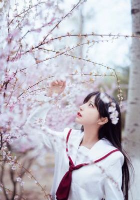 韩日一级
